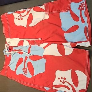 Hollister Swim Trunks Men's size 32